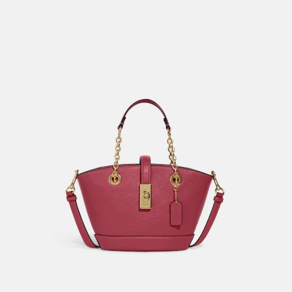 💥COACH LANE BUCKET BAG